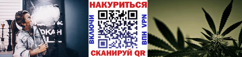 darknet телеграм мега Удомля Канабис сатива